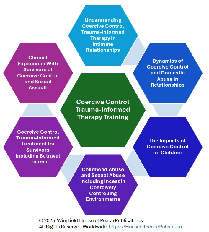 6 hexagons around a seventh hexagon describing the areas of training and experience needed.